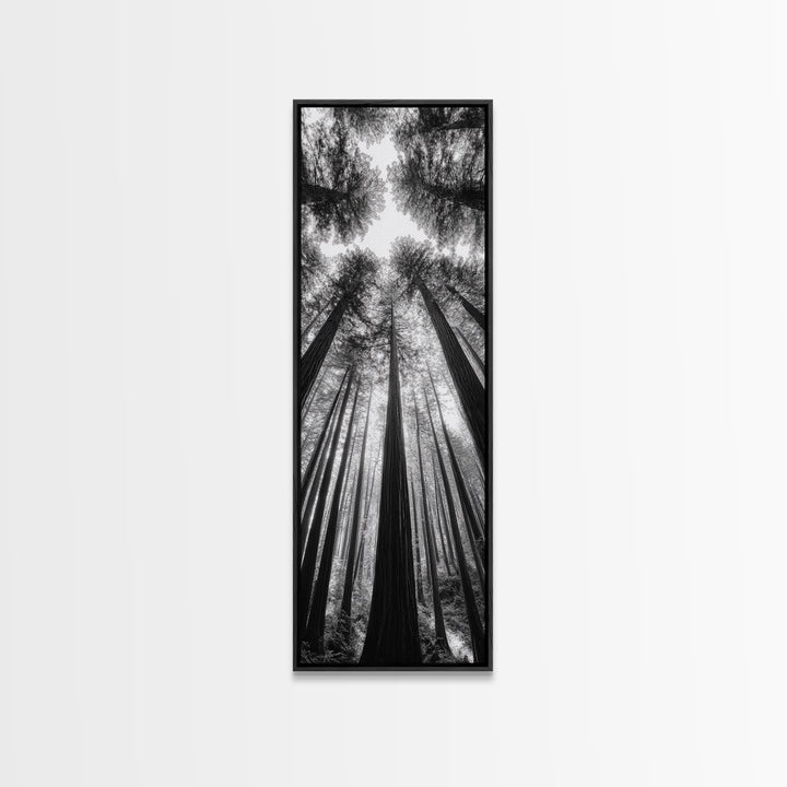 Redwood Forest, Sunlight Trees, Nature Canopy, Canvas Print, Serene Woodland Art, Cabin Wall Decor, Black and White Forest Art, Bedroom Wall Art