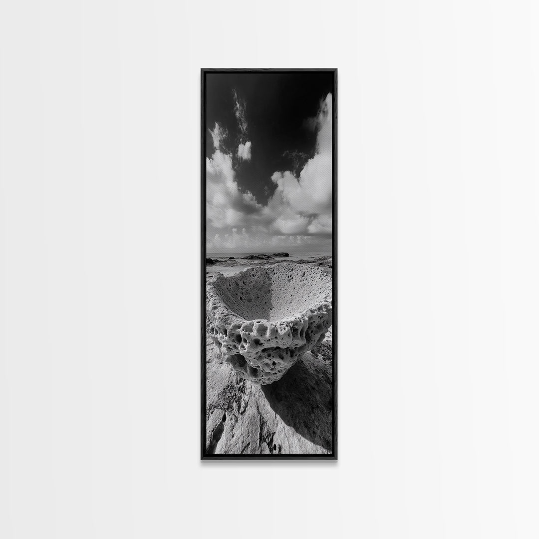 Sea Sponge, Coastal Rock, Ocean View, Canvas Print, Minimalist Nature Photography, Bathroom Wall Art, Black and White Ocean Decor