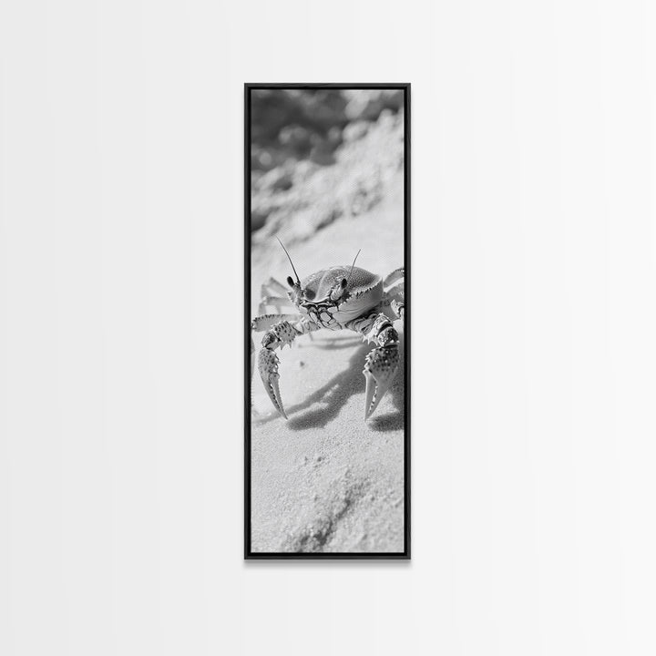 Sand Crab, Coastal Vibes, Beach Creature, Desert Aesthetic, Monochrome Wall Art, Canvas Print, Boho Bathroom Decor, Ocean Life Artwork