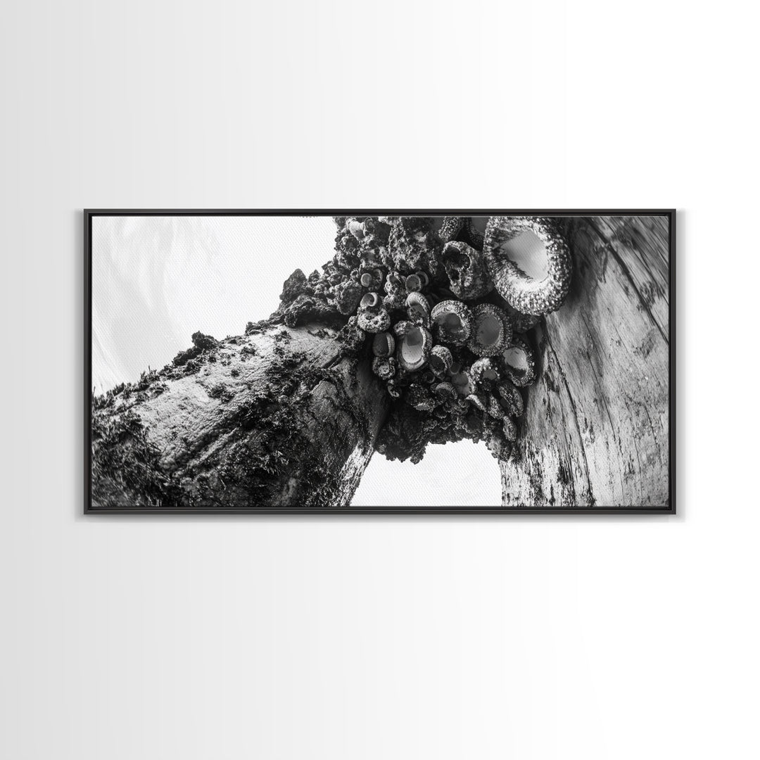 Coastal Texture, Tidepool Abstract, Modern Ocean Nature, Framed Canvas Print, Bathroom Wall Art, Marine Minimalist Photography