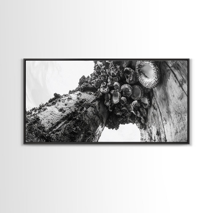 Coastal Texture, Tidepool Abstract, Modern Ocean Nature, Framed Canvas Print, Bathroom Wall Art, Marine Minimalist Photography