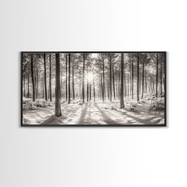 Winter Pine Forest, Sunlight Snow Trees, Nature Landscape Photography, Framed Canvas Print, Cabin Decor, Minimalist Wall Art