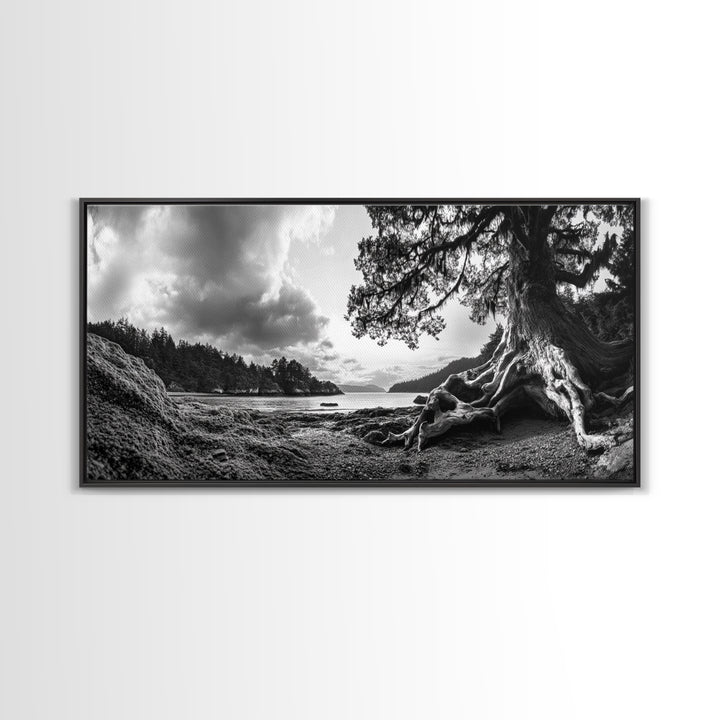 Coastal Tree Roots, Ancient Forest Shore, Pacific Northwest Nature, Moody Black and White Canvas Print, Cabin Wall Art, Woodland Style