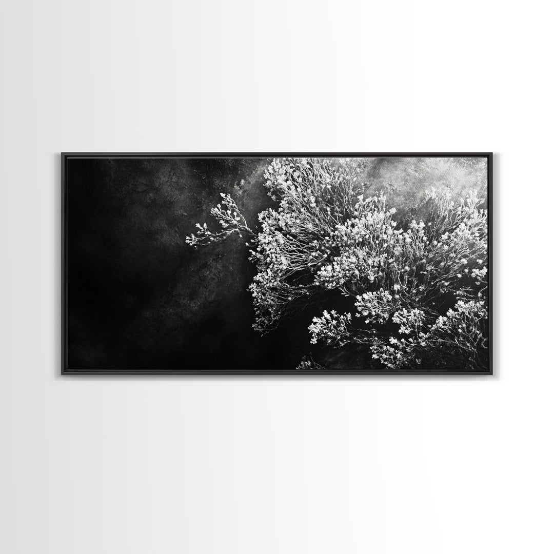 Botanical Texture, Nature Closeup Art, Modern Organic Aesthetic, Framed Canvas Print, Bedroom Wall Art, Neutral Boho Wall Decor