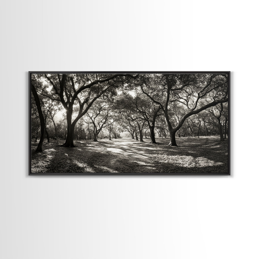 Oak Tree Path, Autumn Forest Glow, Nature Trail Photography, Framed Canvas Print, Hallway Wall Art, Earthy Decor, Woodland Art