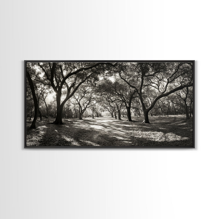 Oak Tree Path, Autumn Forest Glow, Nature Trail Photography, Framed Canvas Print, Hallway Wall Art, Earthy Decor, Woodland Art