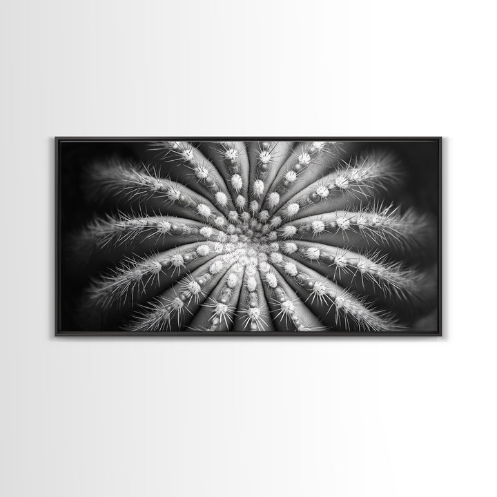 Cactus Spiral, Desert Bloom, Nature Closeup, Modern Decor, Framed Canvas Print, Minimalist Botanical Art, Office Wall Art, Succulent Texture