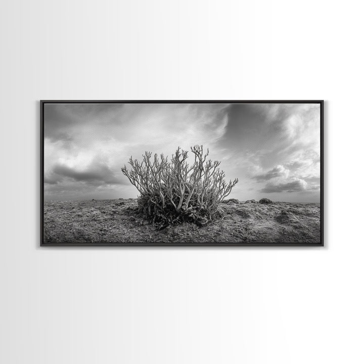 Desert Coral Plant, Dry Earth Botanical, Surreal Nature Texture, Minimal Wild Scene, Canvas Print, Office Wall Art, Earthy Decor