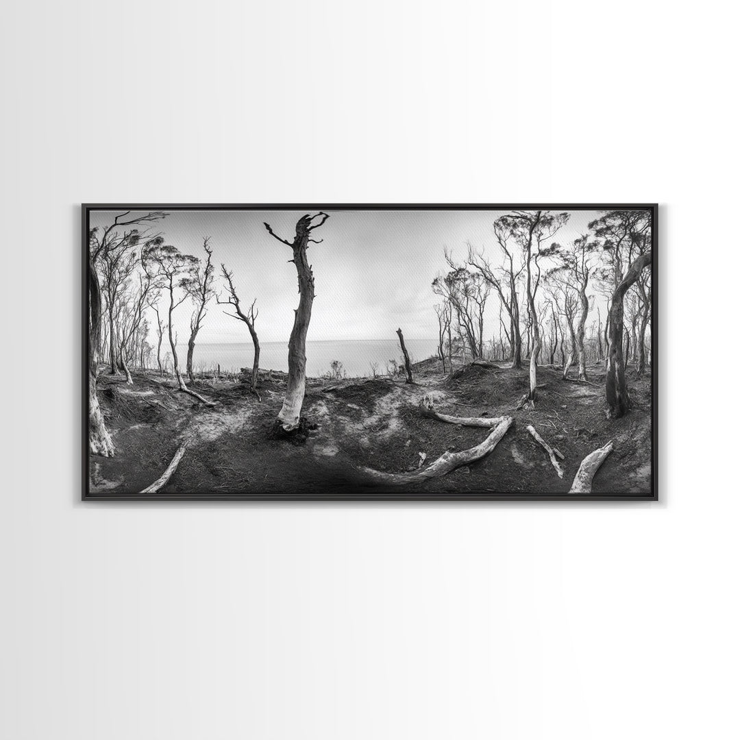 Burnt Forest, Moody Trees, Coastal Landscape, Nature Scene, Framed Canvas Print, Rustic Wall Art, Boho Decor, Fall Home Aesthetic