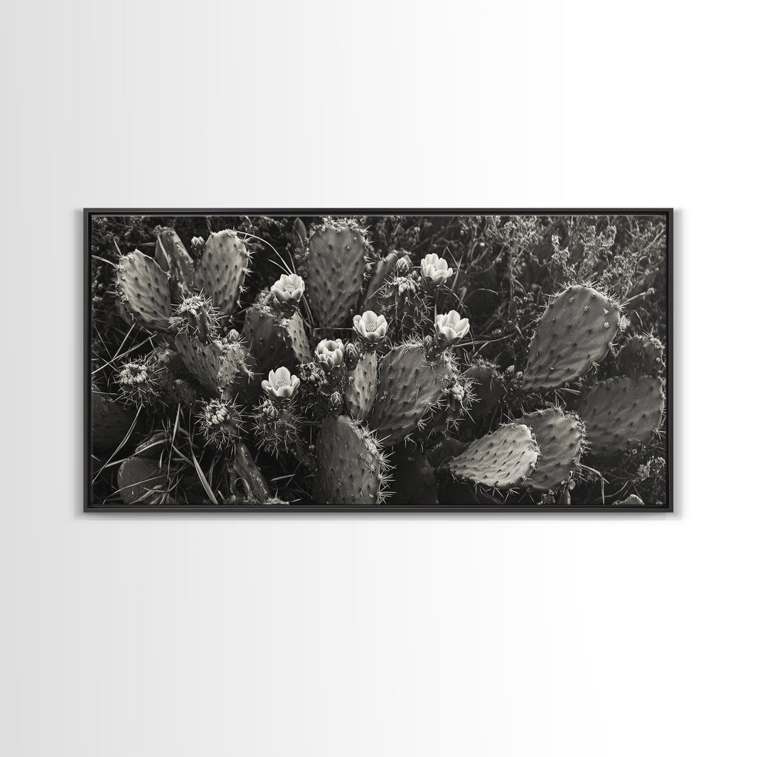 Cactus Blooms, Desert Flowers, Prickly Pear, Nature Closeup, Framed Canvas Print, Southwestern Art, Kitchen Wall Art, Boho Style