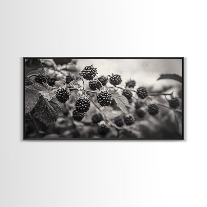 Blackberries on Vine, Farmhouse Kitchen Art, Rustic Fruit Wall Decor, Country Style, Autumn Botanical Photography, Canvas Print
