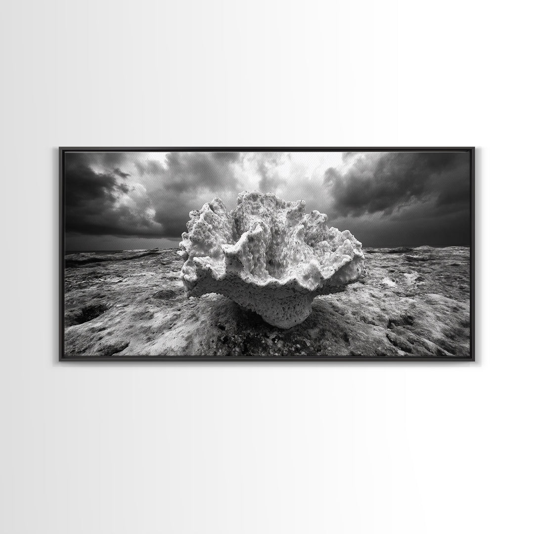 Coral Texture, Ocean Storm, Dramatic Sky, Sea Fossil, Framed Canvas Print, Coastal Nature Art, Fall Entryway Wall Decor, Cabin Wall Art