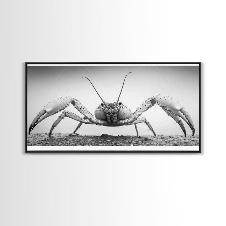 Crab Art, Beach Creature, Monochrome Photography, Nature Close-Up, Framed Canvas Print, Coastal Bathroom Art, Marine Home Style