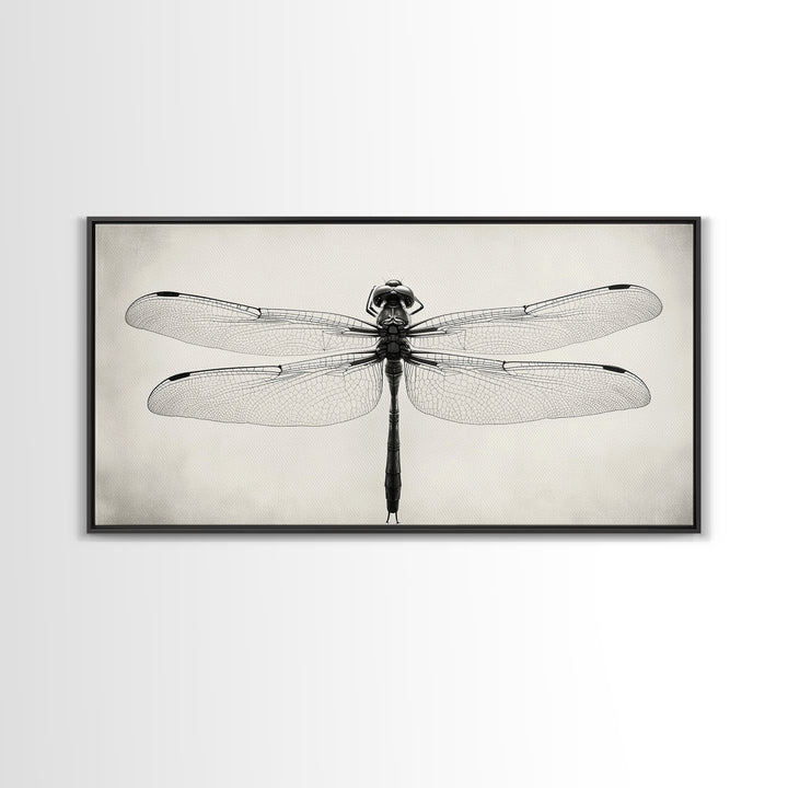Dragonfly Sketch, Insect Art Print, Botanical Illustration, Minimalist Natural History, Framed Canvas Print, Office or Study Wall Art