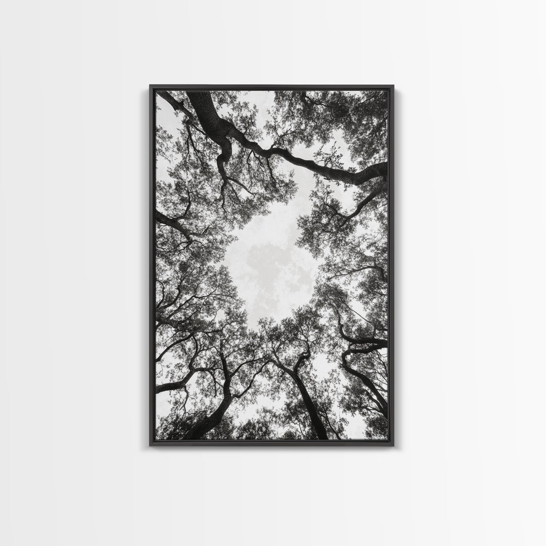 Forest Canopy View, Tree Tops Art, Nature Sky Print, Framed Canvas Print, Bedroom Wall Art, Minimalist Nature, Modern Rustic Decor