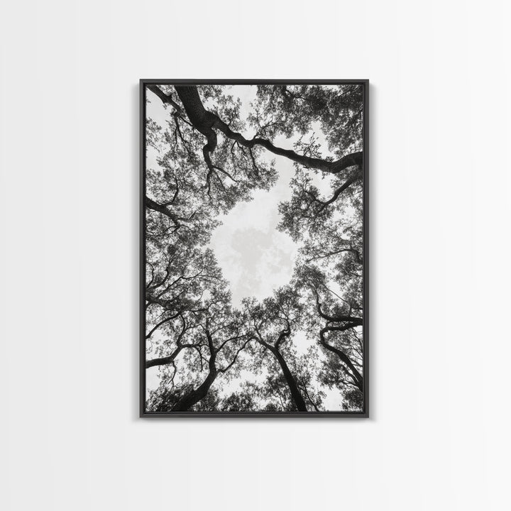 Forest Canopy View, Tree Tops Art, Nature Sky Print, Framed Canvas Print, Bedroom Wall Art, Minimalist Nature, Modern Rustic Decor