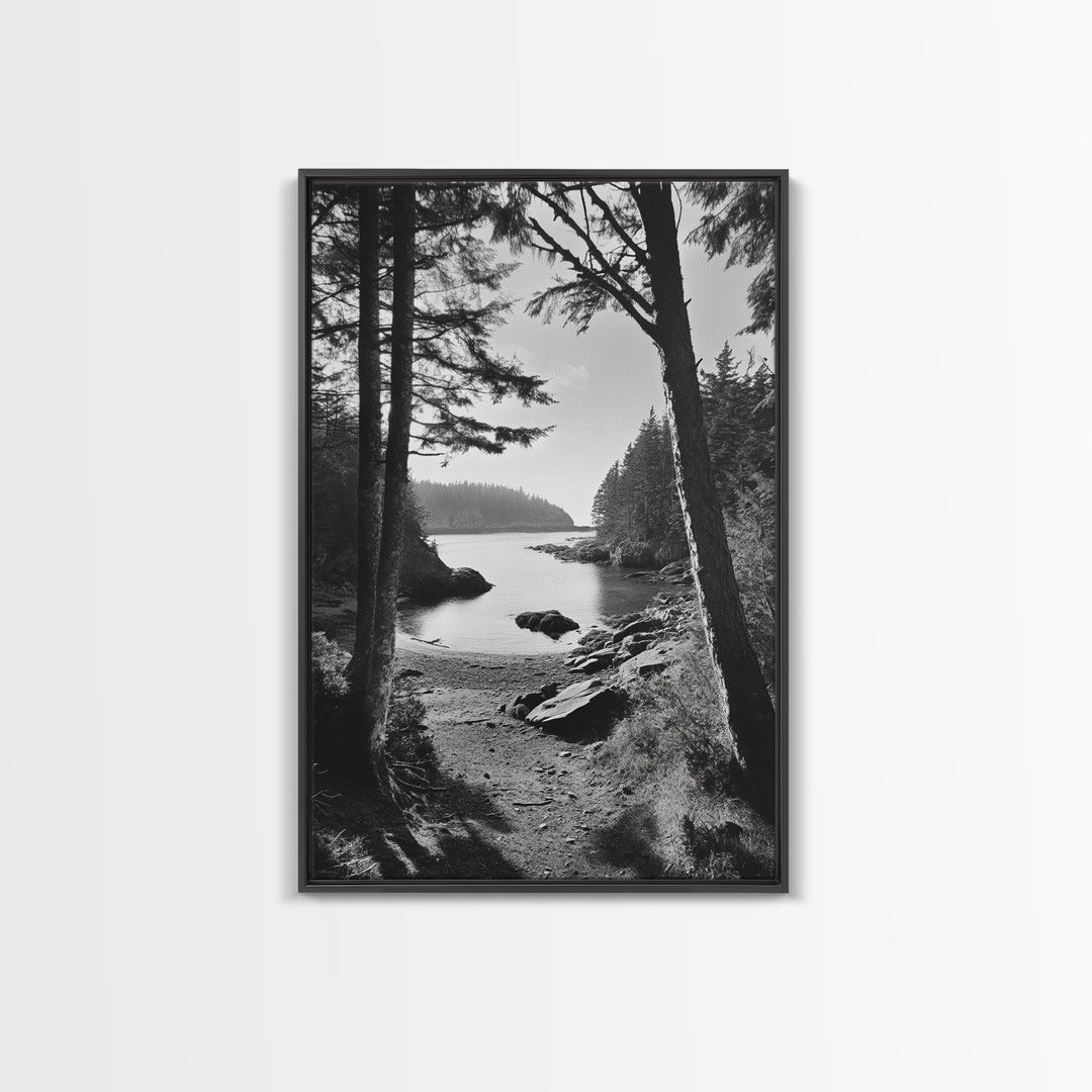 Woodland Cove Path, Tranquil Forest Scene, Nature Escape Art, Canvas Print, Cabin Wall Art, Coastal Boho Decor, Black White Landscape