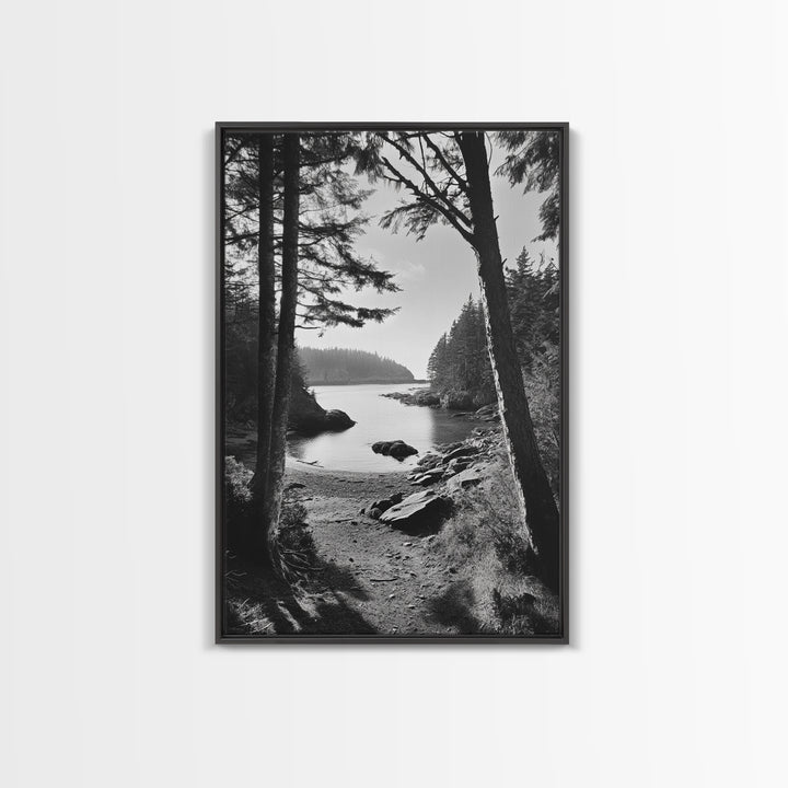 Woodland Cove Path, Tranquil Forest Scene, Nature Escape Art, Canvas Print, Cabin Wall Art, Coastal Boho Decor, Black White Landscape