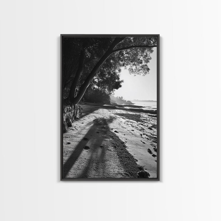 Coastal Shadows Path, Black and White Landscape, Framed Canvas Print, Entryway Art, Calm Nature Scene, Moody Coastal Wall Decor
