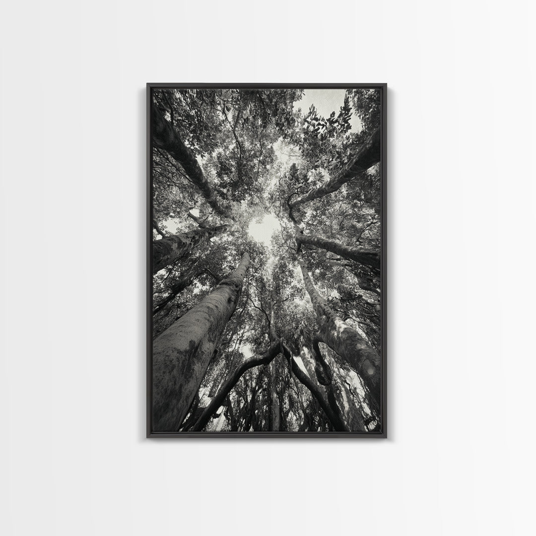 Tree Canopy, Forest Light, Upward View, Canvas Print, Woodland Wall Art, Living Room Decor, Nature Perspective Photography