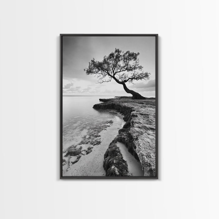 Coastal Tree Silhouette, Serene Nature Art, Ocean Wall Scene, Framed Canvas Print, Beach House Decor, Minimalist Design