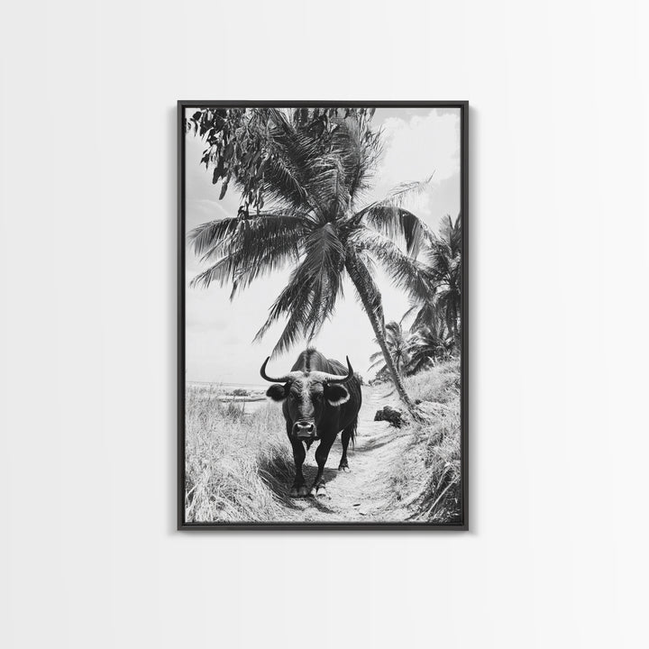 Tropical Bull, Palm Tree, Island Wildlife, Rural Photography, Framed Canvas Print, Kitchen Wall Art, Exotic Boho Decor, farmhouse decor