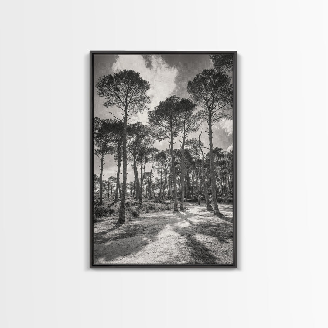 Forest Shadows, Tall Pines, Natural Light, Framed Canvas Print, woodland landscape, rustic cabin decor, autumn forest art