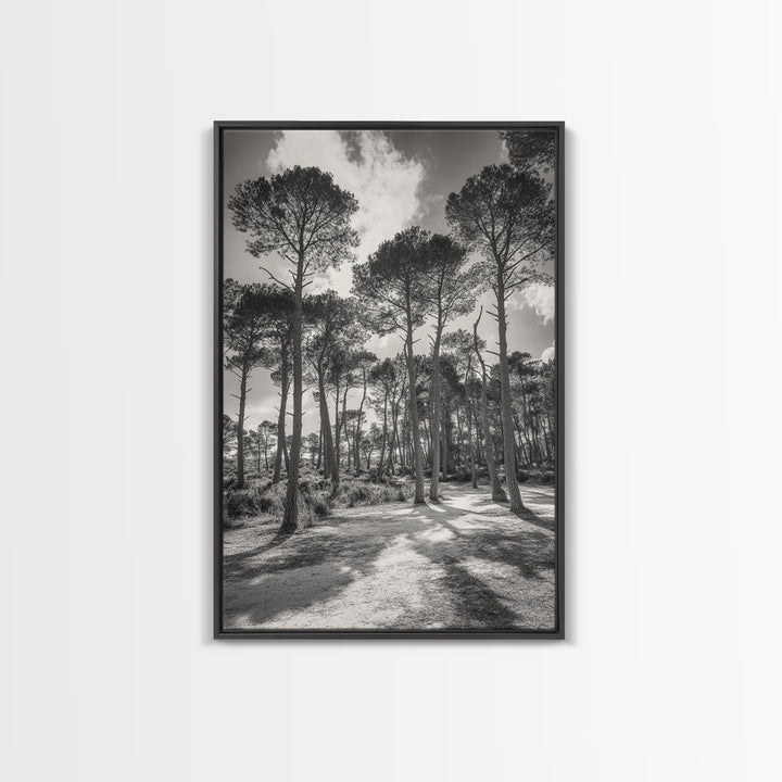 Forest Shadows, Tall Pines, Natural Light, Framed Canvas Print, woodland landscape, rustic cabin decor, autumn forest art