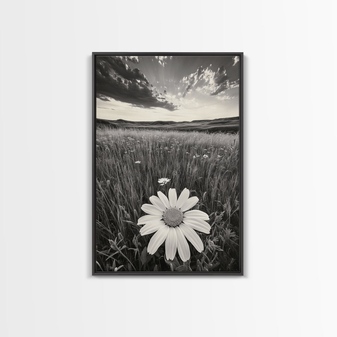 Wildflower Field, Daisy Bloom, Summer Meadow, Framed Canvas Print, Boho Botanical Wall Art, Bedroom Decor, Earthy Nature Photography
