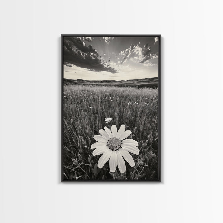 Wildflower Field, Daisy Bloom, Summer Meadow, Framed Canvas Print, Boho Botanical Wall Art, Bedroom Decor, Earthy Nature Photography