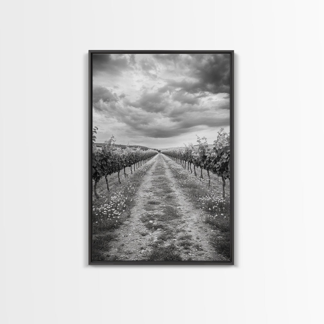 Vineyard Rows, Cloudy Skies, Countryside Path, Canvas Print, Farmhouse Wall Art, Kitchen or Dining Decor, Rustic Landscape Photo