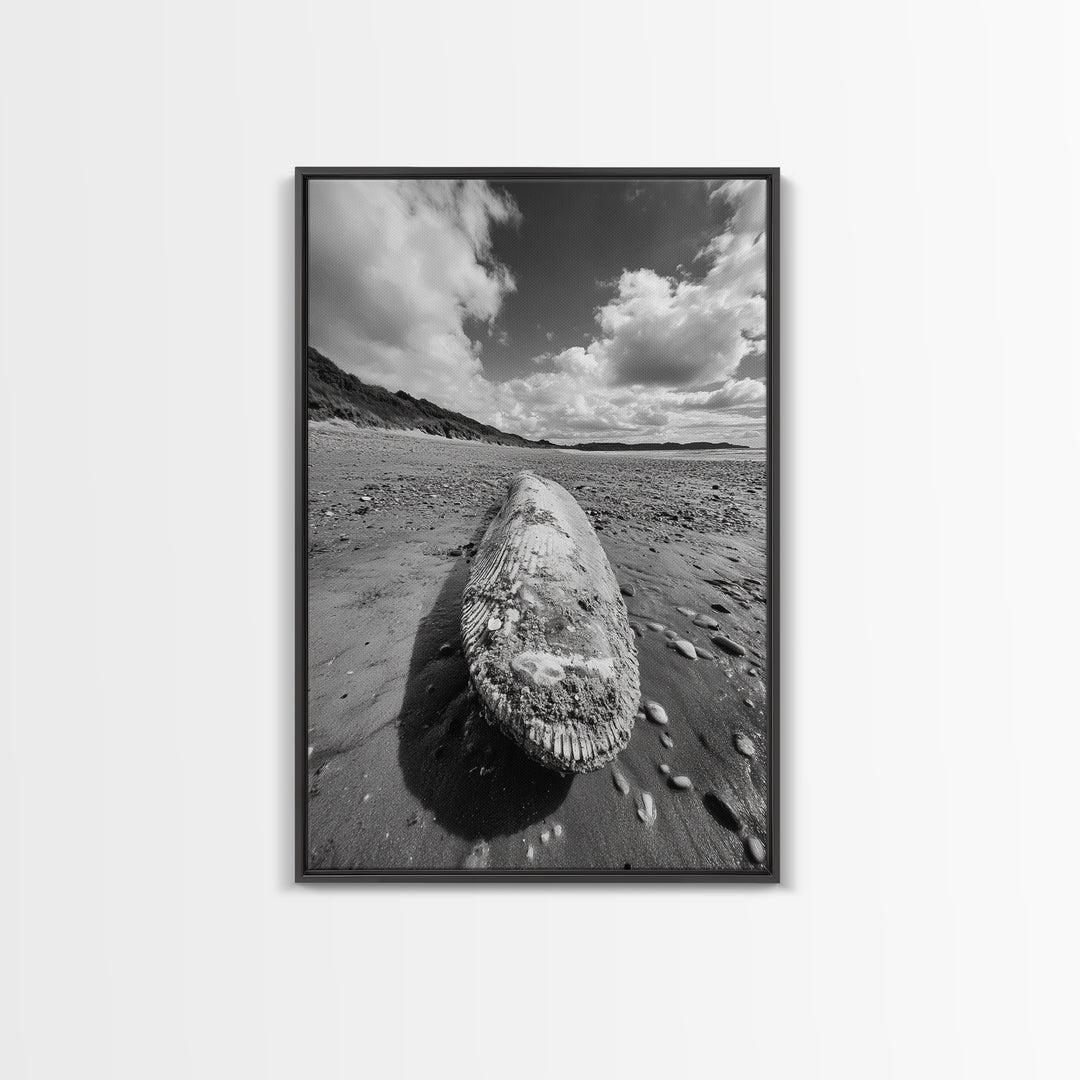 Whale Bone, Coastal Find, Ocean Relic, Framed Canvas Print, Seaside Wall Art, Beach House Decor, Nautical Minimalist Photography
