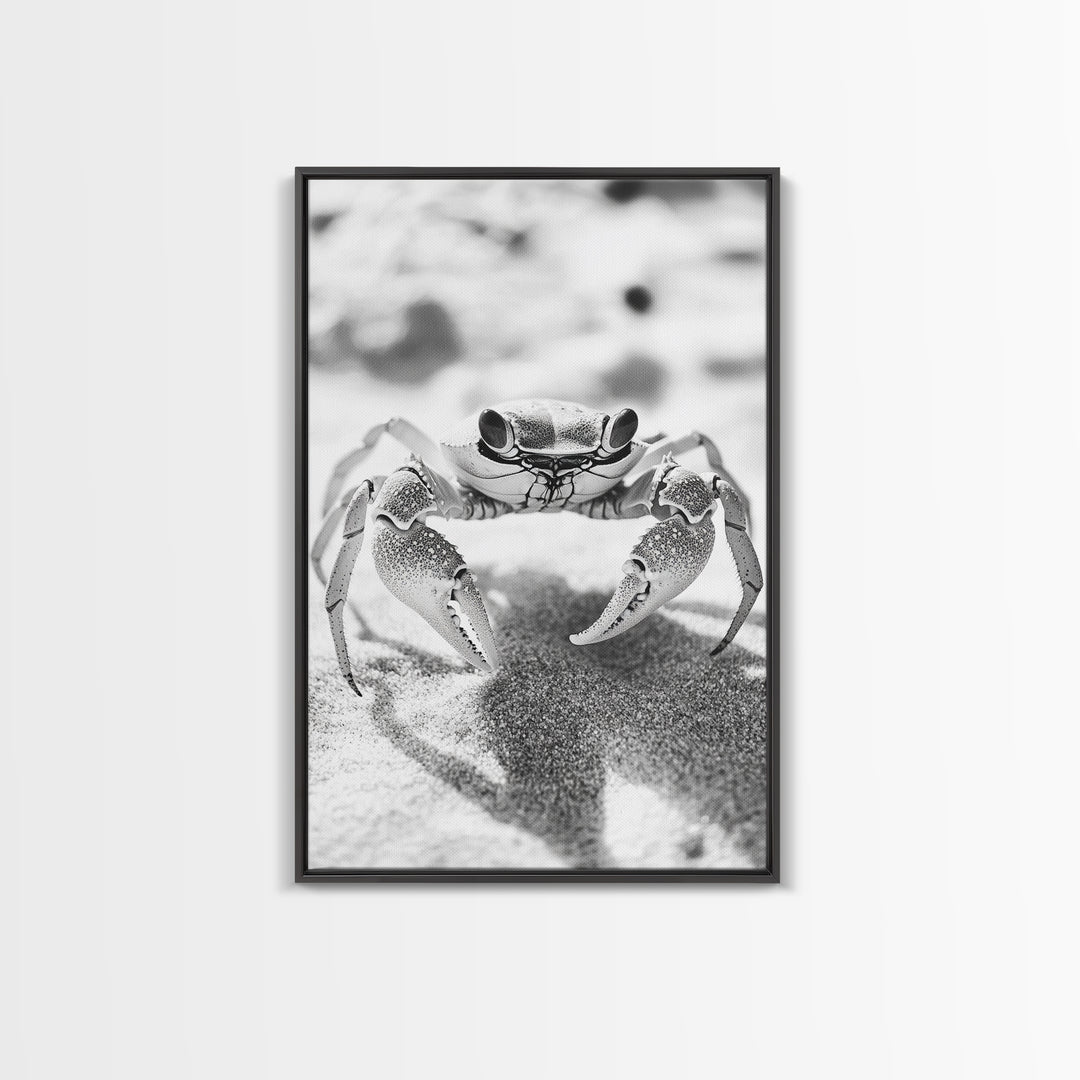 Sand Crab, Beach Macro, Ocean Critter Art, Framed Canvas Print, Coastal Bathroom Decor, Beach House Wall Art, Nature Close-Up