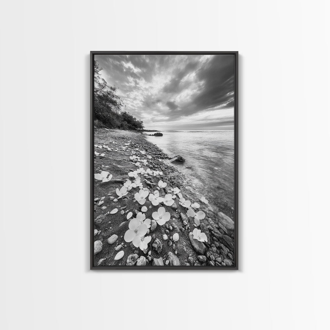 Flower Shore, Peaceful Beach, Moody Sky, Petal Scape, Framed Canvas Print, romantic beach art, bedroom decor, black and white floral print