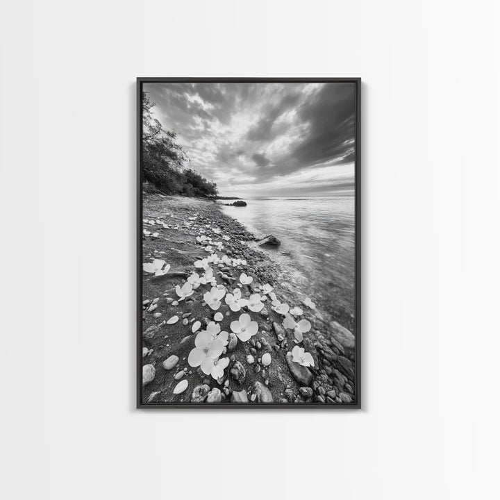 Flower Shore, Peaceful Beach, Moody Sky, Petal Scape, Framed Canvas Print, romantic beach art, bedroom decor, black and white floral print
