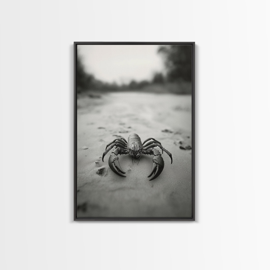 Desert Scorpion, Moody Wildlife, Sandy Ground, Focused Predator, Framed Canvas Print, edgy boho decor, masculine wall art, nature closeup