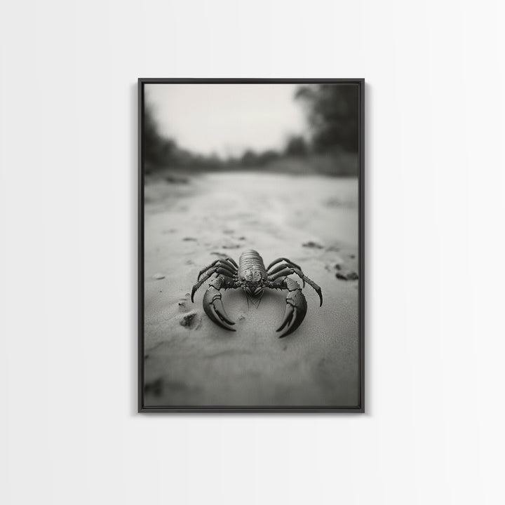 Desert Scorpion, Moody Wildlife, Sandy Ground, Focused Predator, Framed Canvas Print, edgy boho decor, masculine wall art, nature closeup