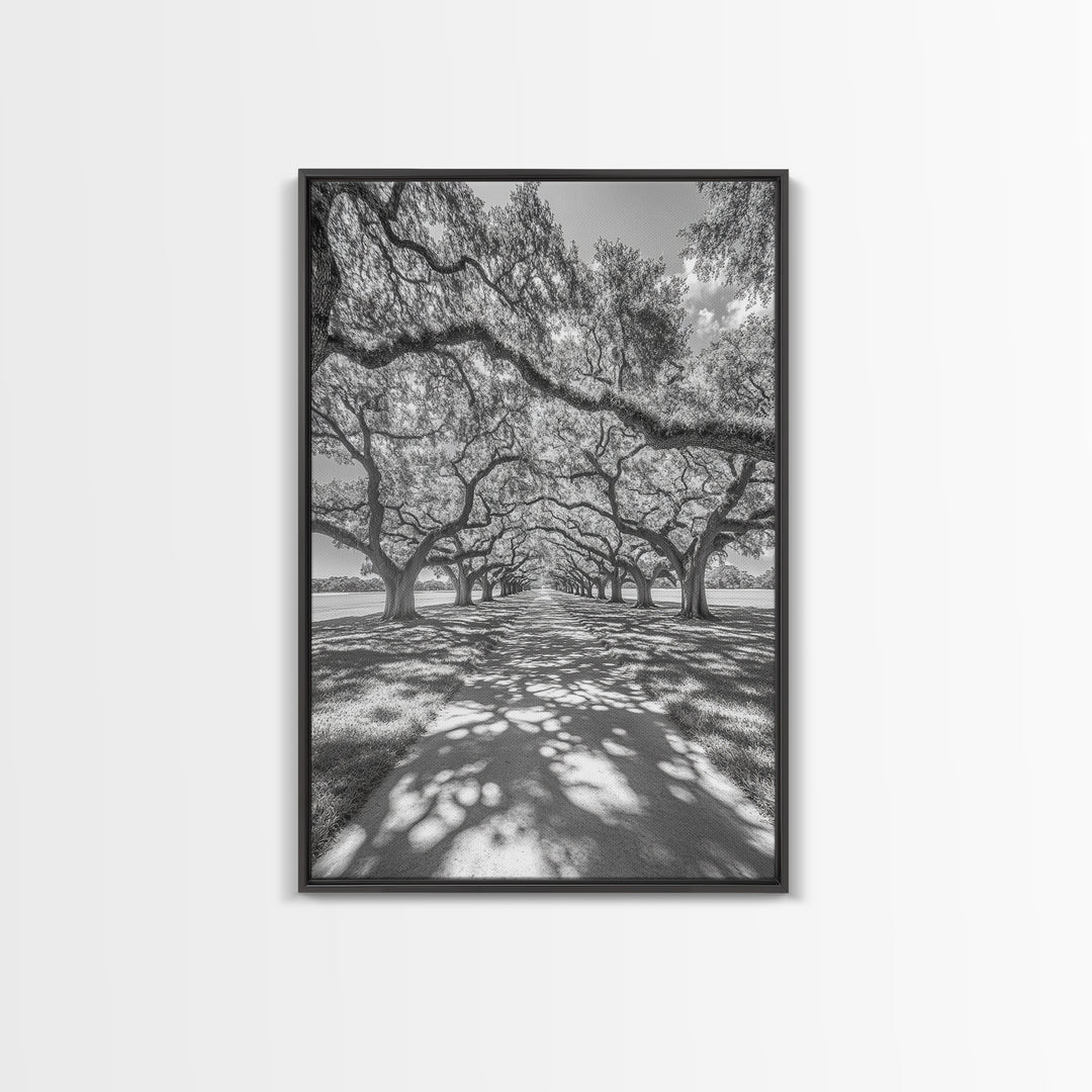 Oak Tree Tunnel, Southern Charm, Shaded Pathway, Timeless Trees Framed Canvas Print, farmhouse wall decor, hallway landscape art