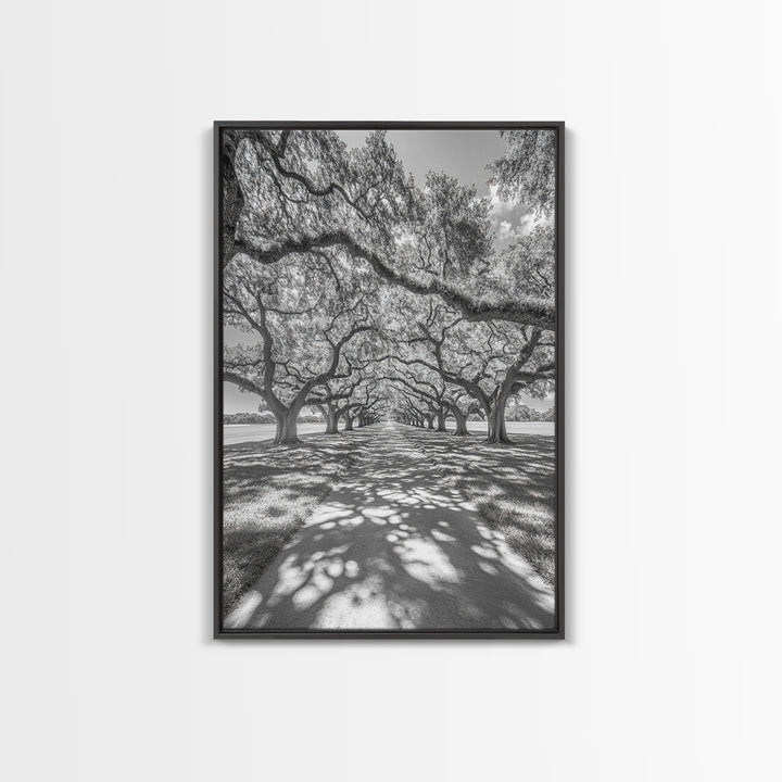 Oak Tree Tunnel, Southern Charm, Shaded Pathway, Timeless Trees Framed Canvas Print, farmhouse wall decor, hallway landscape art