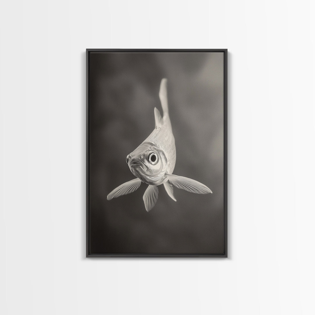 Curious Fish, Underwater Focus, Moody Marine Life, Framed Canvas Print, Bathroom Wall Art, Black and White Ocean Wildlife Decor