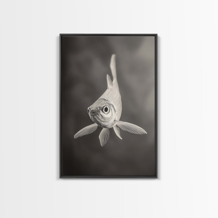 Curious Fish, Underwater Focus, Moody Marine Life, Framed Canvas Print, Bathroom Wall Art, Black and White Ocean Wildlife Decor