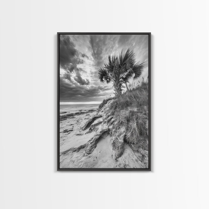 Palm Tree Beach, Coastal Dunes, Dramatic Sky, Framed Canvas Print, Tropical Wall Art, Boho Living Room Decor, Beach House Art