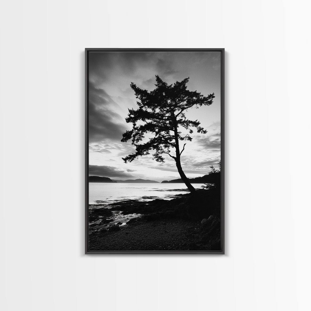 Coastal Tree, Pacific Northwest, Serene Landscape, Monochrome Nature Scene, Framed Canvas Print, Entryway Art, Rustic Cabin Wall Decor