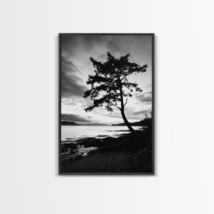 Coastal Tree, Pacific Northwest, Serene Landscape, Monochrome Nature Scene, Framed Canvas Print, Entryway Art, Rustic Cabin Wall Decor
