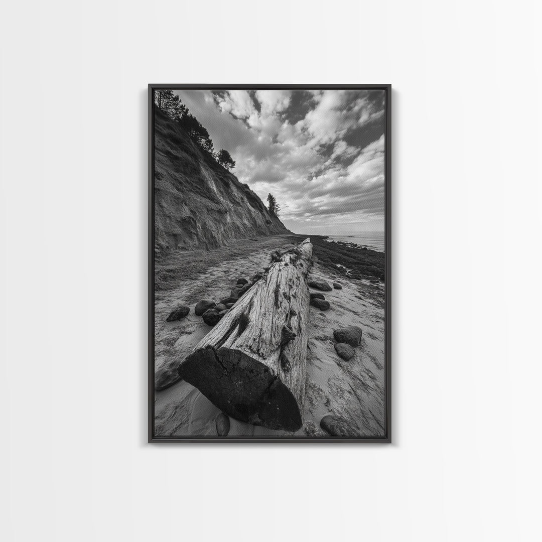 Driftwood Coastal Trail, Cliffside Path Nature Art, Rustic Cabin Style, Black White Photography, Framed Canvas Print, Hallway Wall Decor