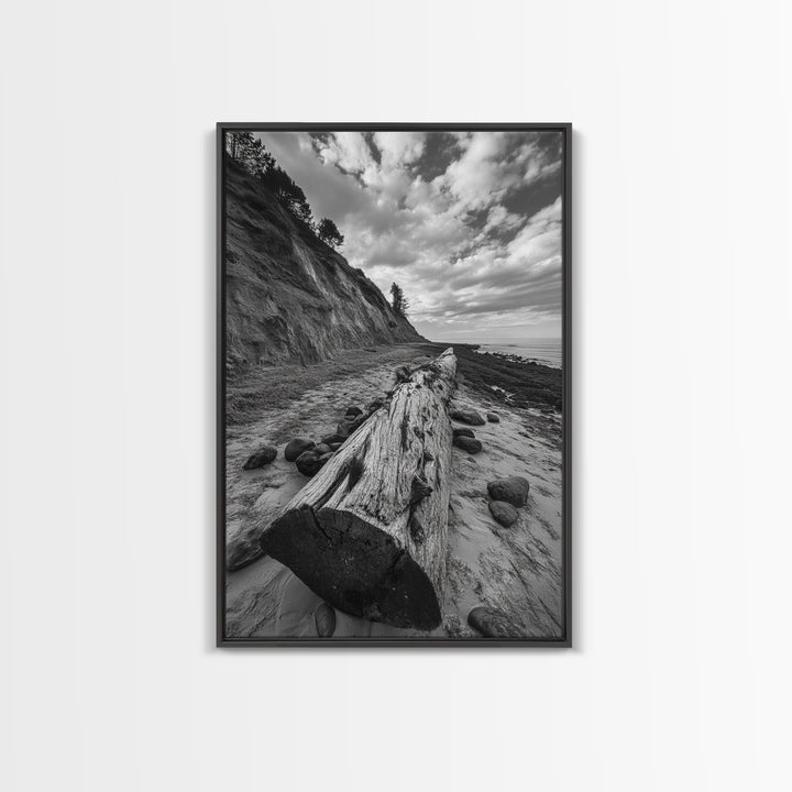 Driftwood Coastal Trail, Cliffside Path Nature Art, Rustic Cabin Style, Black White Photography, Framed Canvas Print, Hallway Wall Decor