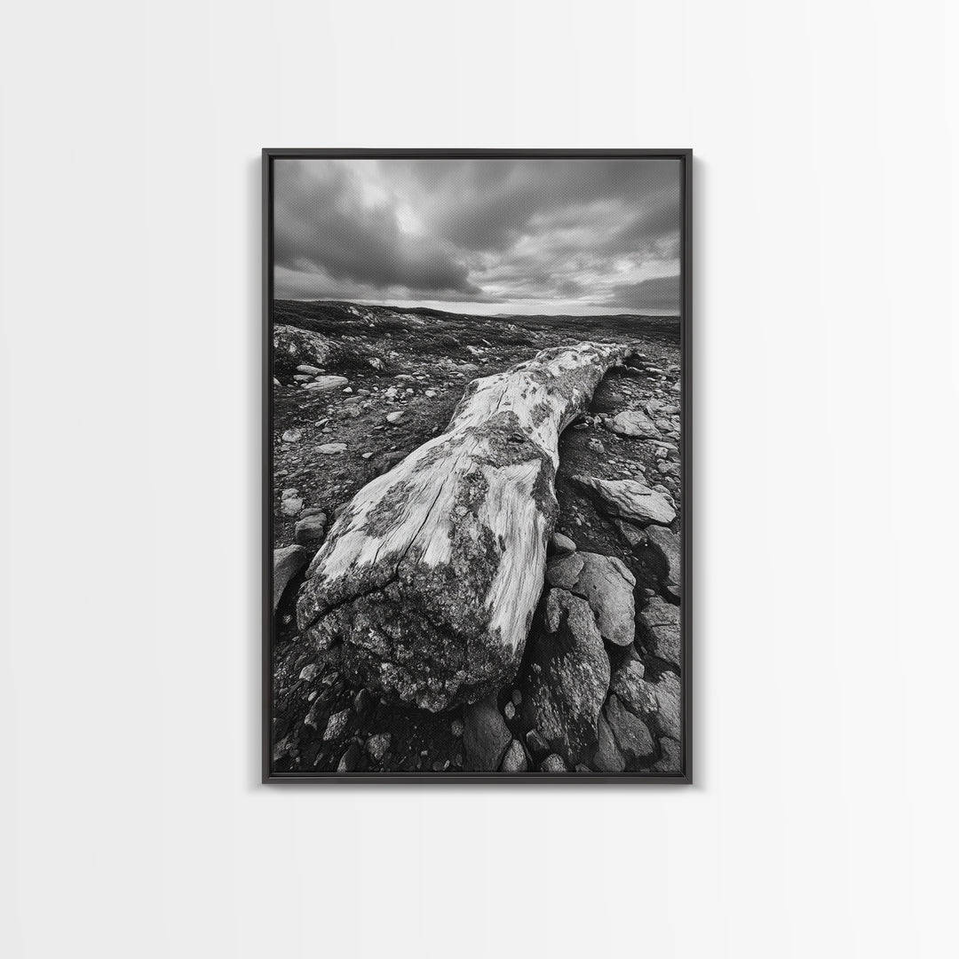 Rocky Terrain Driftwood, Weathered Wood Scene, Outdoor Adventure Art, Modern Rustic Decor, Framed Canvas Print, Earthy Tones Photography