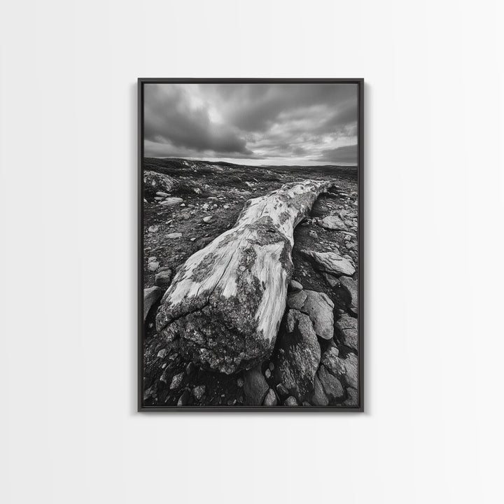 Rocky Terrain Driftwood, Weathered Wood Scene, Outdoor Adventure Art, Modern Rustic Decor, Framed Canvas Print, Earthy Tones Photography