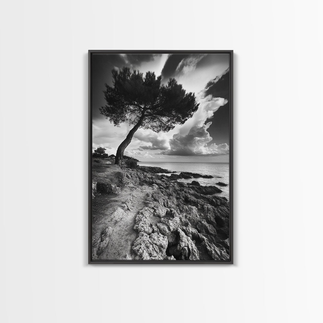 Wind Bent Tree, Coastal Cliff, Solitary Beauty, Canvas Print, Nature Photography Wall Art, Minimalist Earthy Decor, Moody Landscape