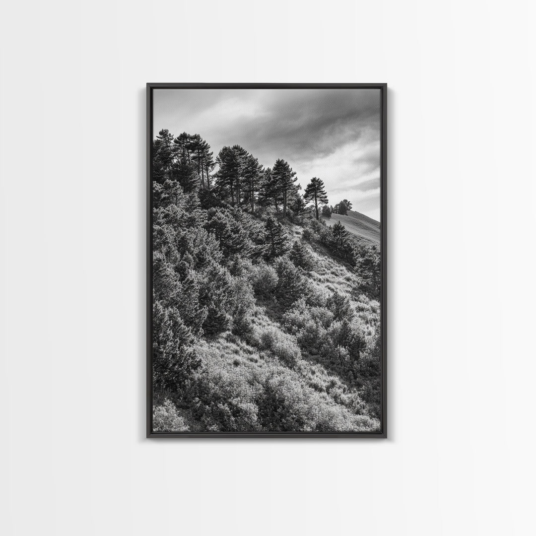 Hillside Forest, Peaceful Pines, Mountain Light, Framed Canvas Print, Nature Wall Art, Cabin Decor, Woodland Landscape Scene